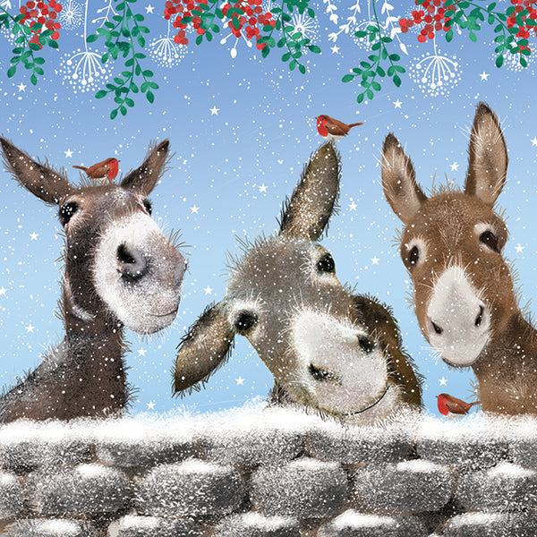 Donkey with Friends Christmas Card