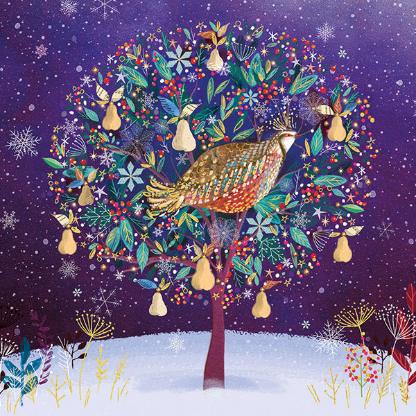 Golden Partridge